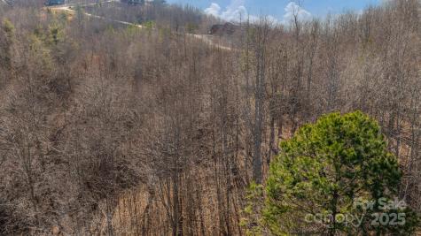 Tbd Coal Pit Mountain Road Nebo NC 28761
