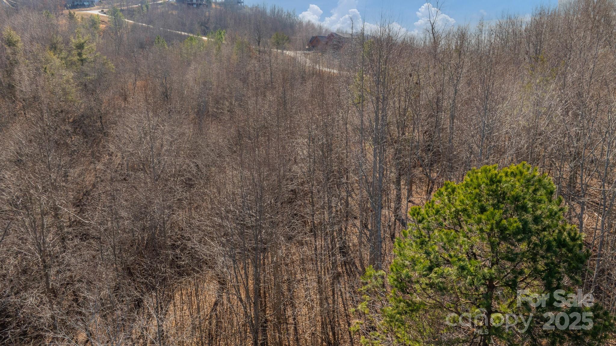 Tbd Coal Pit Mountain Road Nebo NC 28761