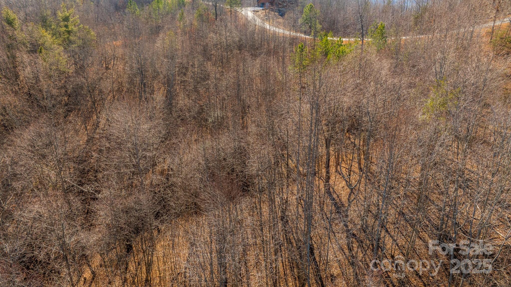 Tbd Coal Pit Mountain Road Nebo NC 28761