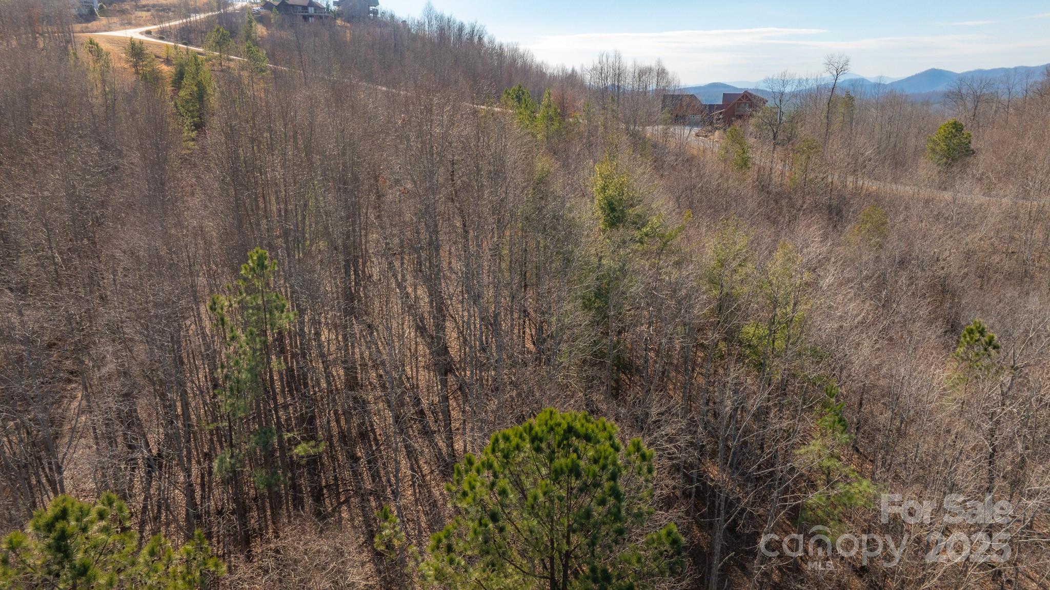 Tbd Coal Pit Mountain Road Nebo NC 28761