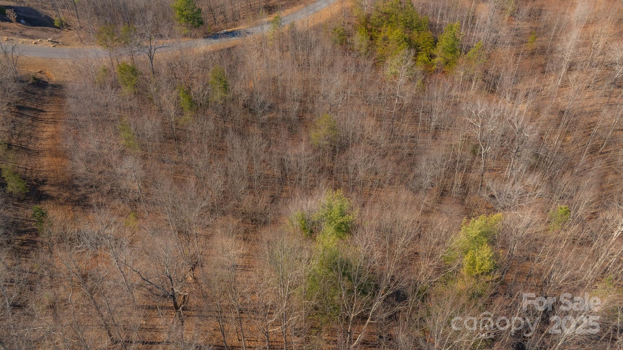 Tbd Coal Pit Mountain Road Nebo NC 28761