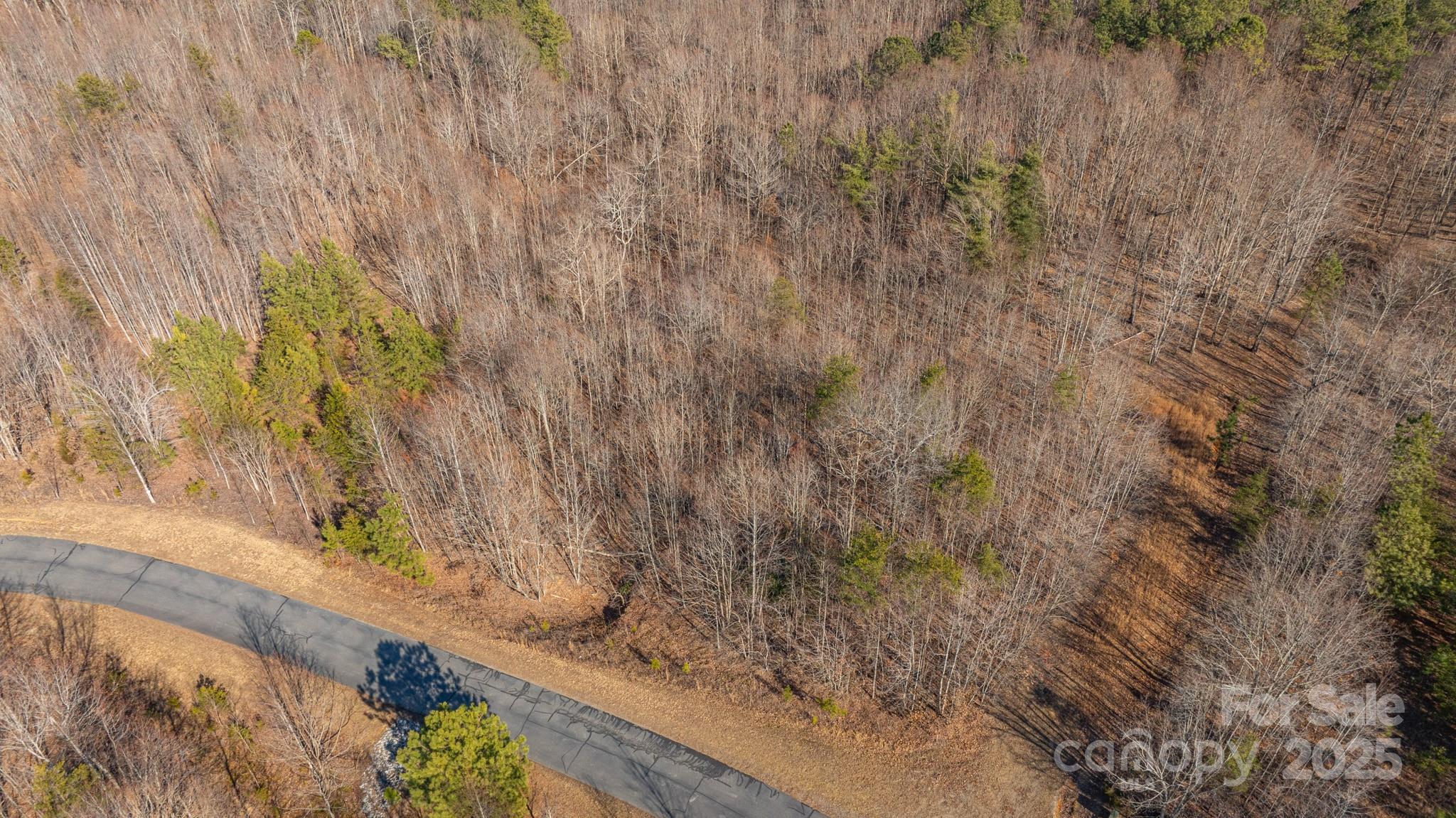 Tbd Coal Pit Mountain Road Nebo NC 28761