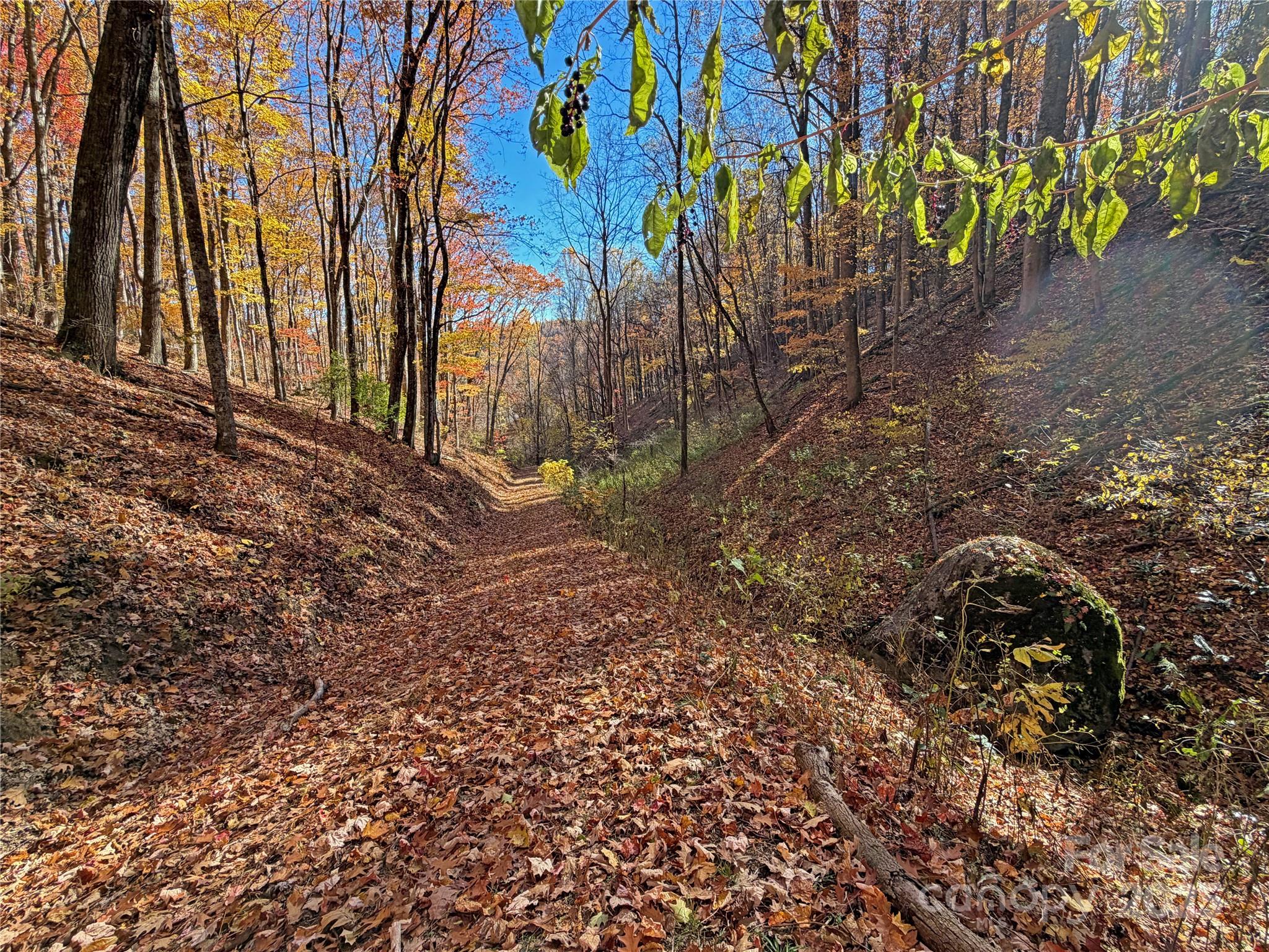 890 Panther Branch Road Hot Springs NC 28743