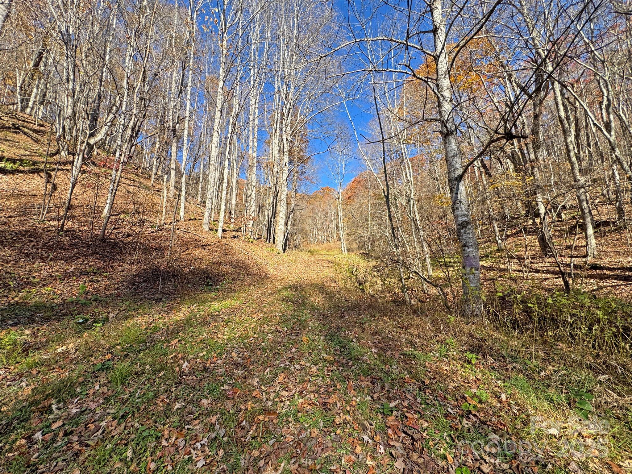 890 Panther Branch Road Hot Springs NC 28743
