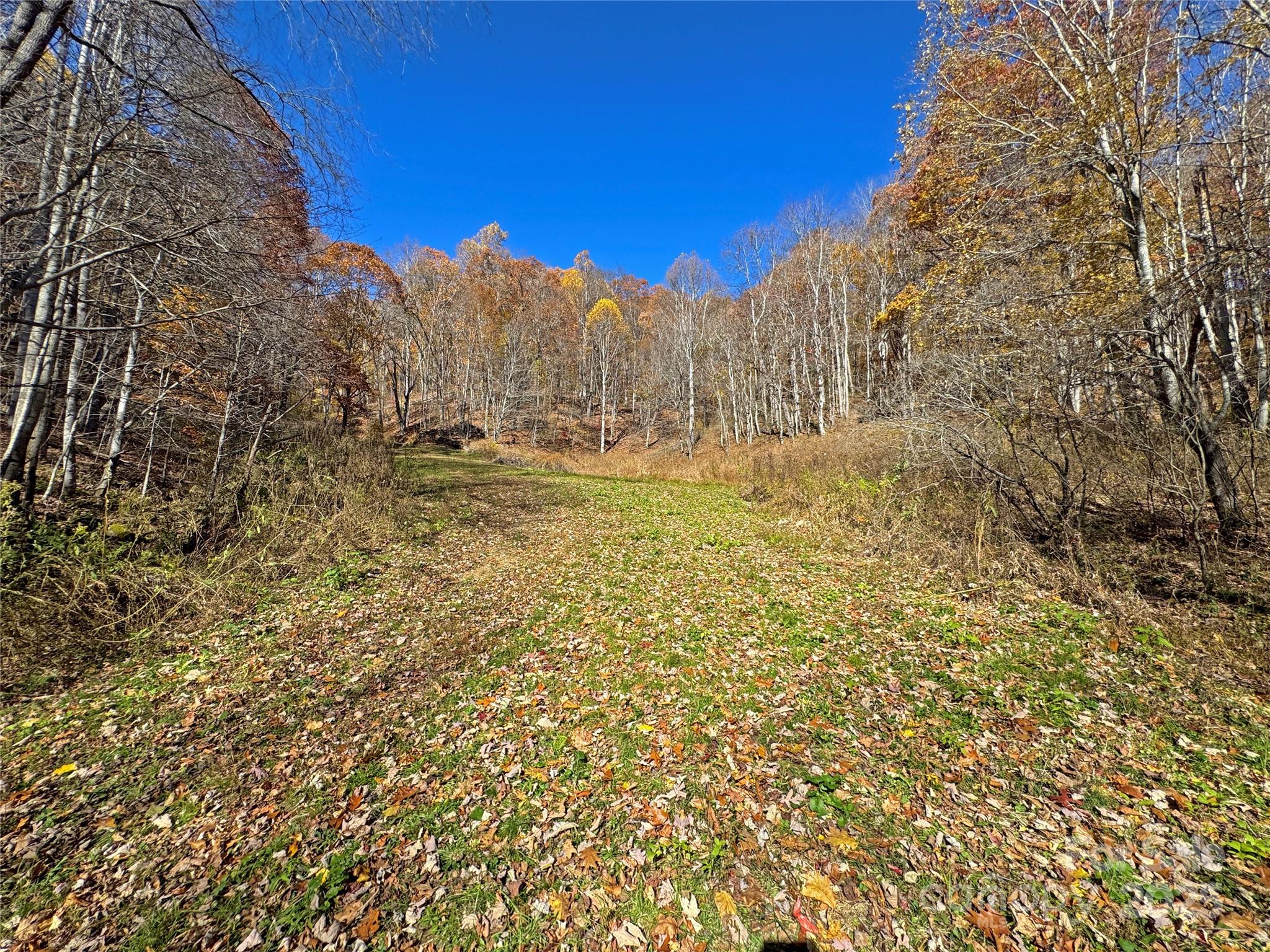 890 Panther Branch Road Hot Springs NC 28743