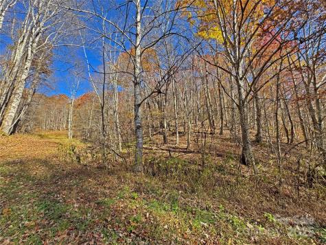 890 Panther Branch Road Hot Springs NC 28743