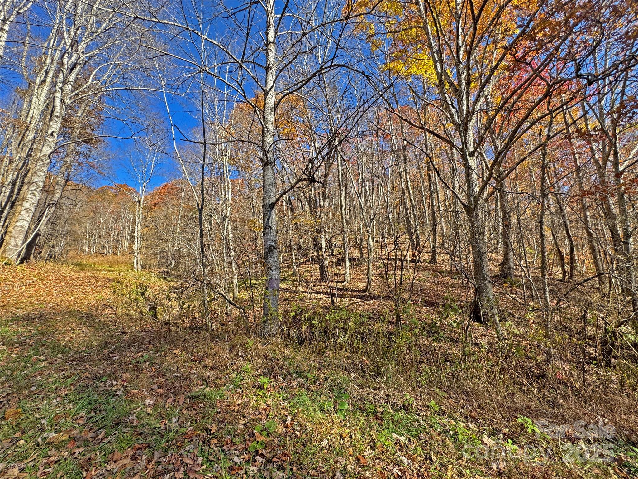 890 Panther Branch Road Hot Springs NC 28743