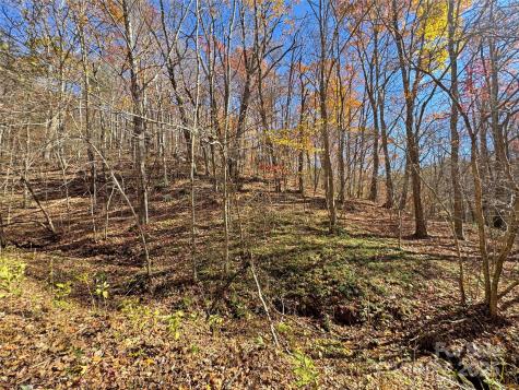 890 Panther Branch Road Hot Springs NC 28743