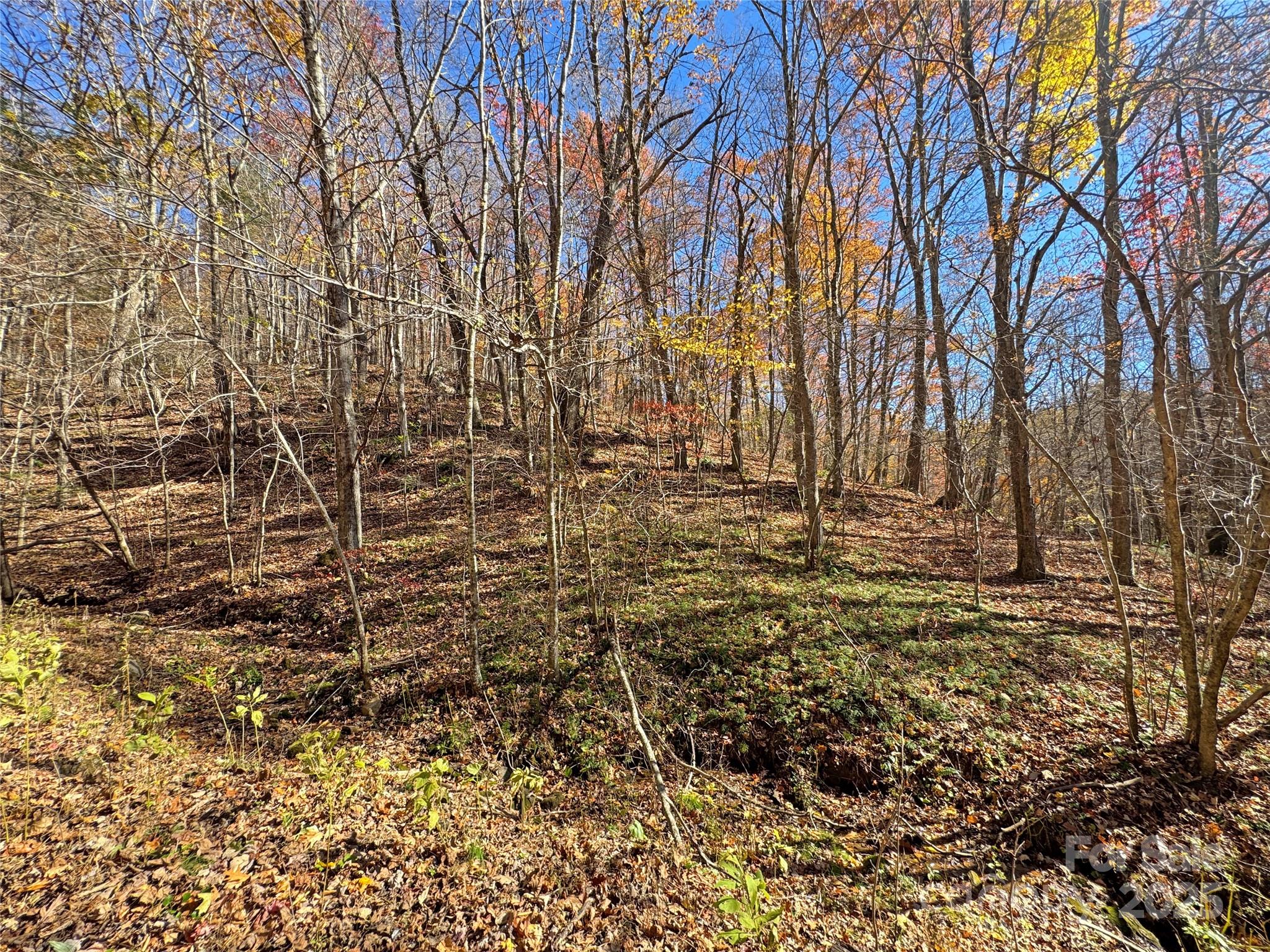 890 Panther Branch Road Hot Springs NC 28743