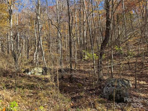890 Panther Branch Road Hot Springs NC 28743