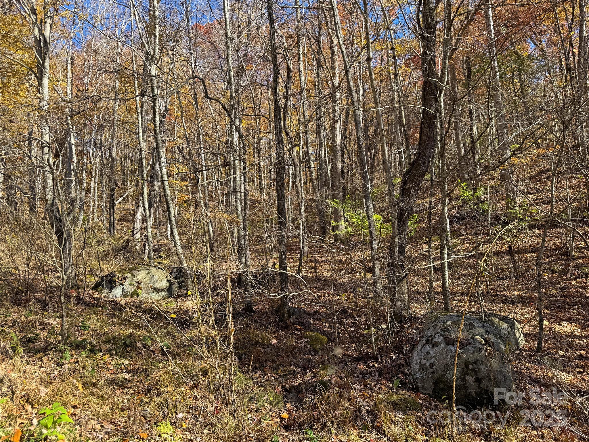 890 Panther Branch Road Hot Springs NC 28743