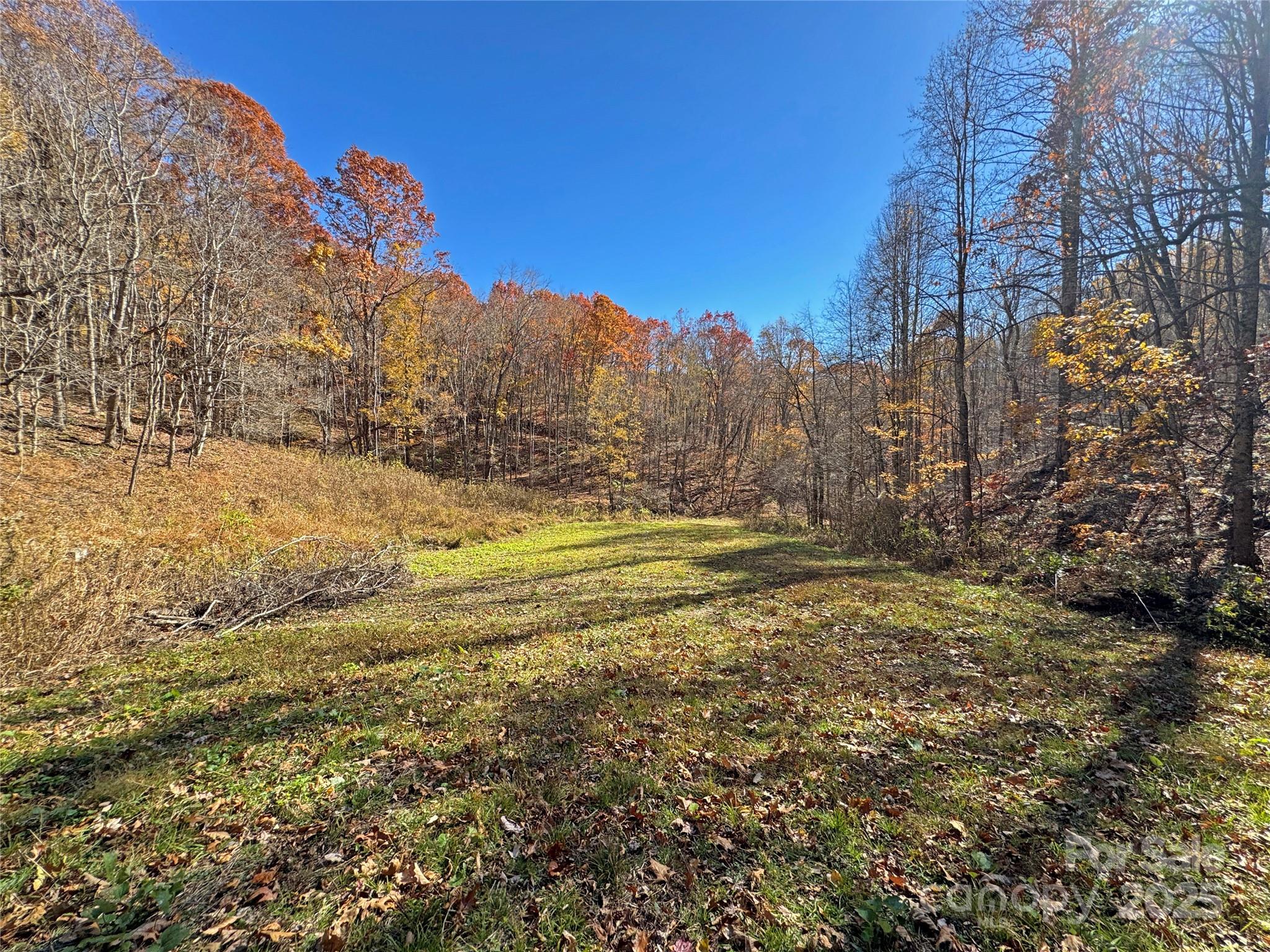 890 Panther Branch Road Hot Springs NC 28743