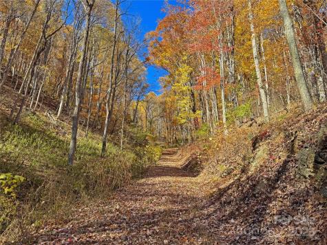 890 Panther Branch Road Hot Springs NC 28743