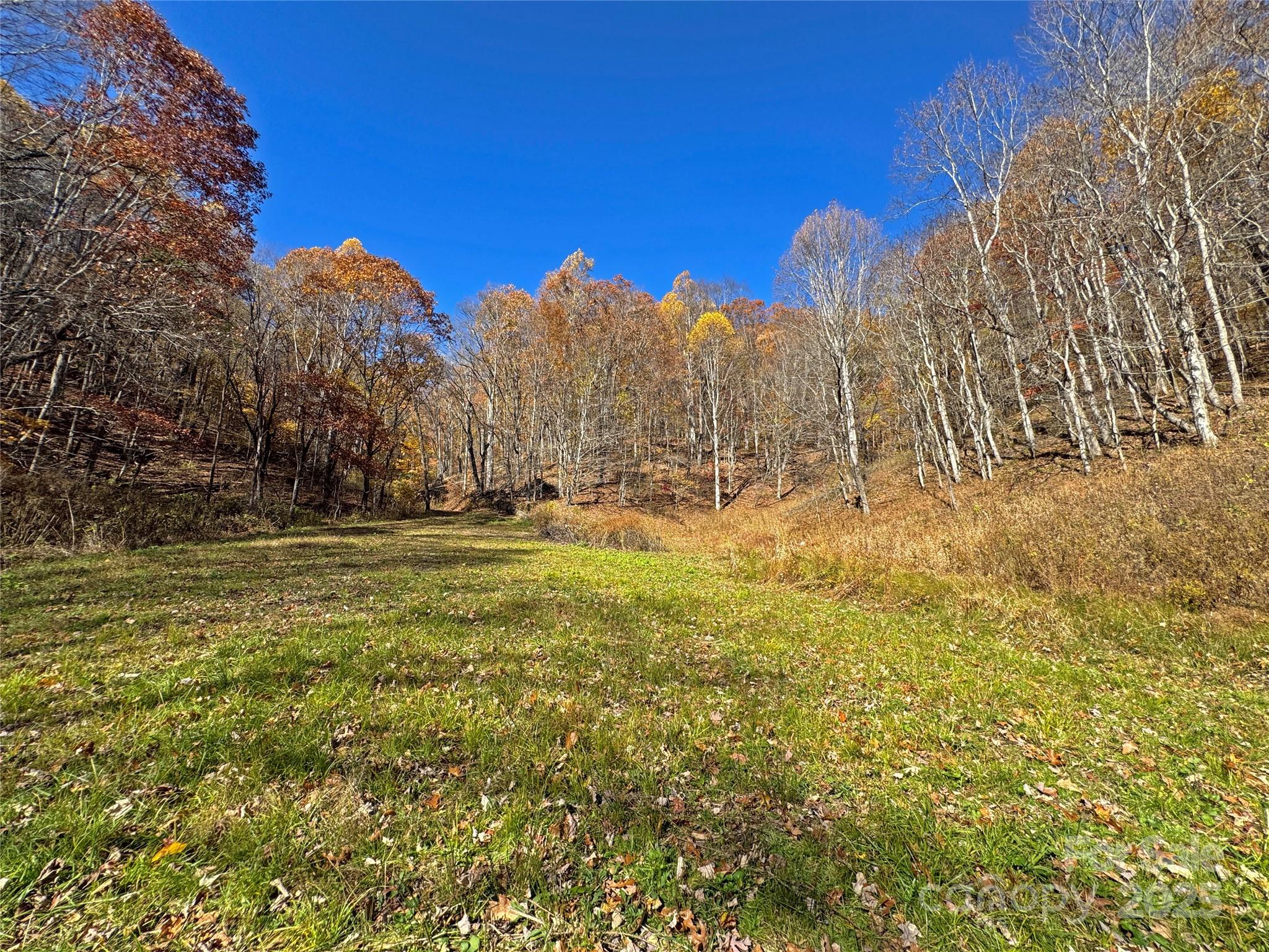 890 Panther Branch Road Hot Springs NC 28743