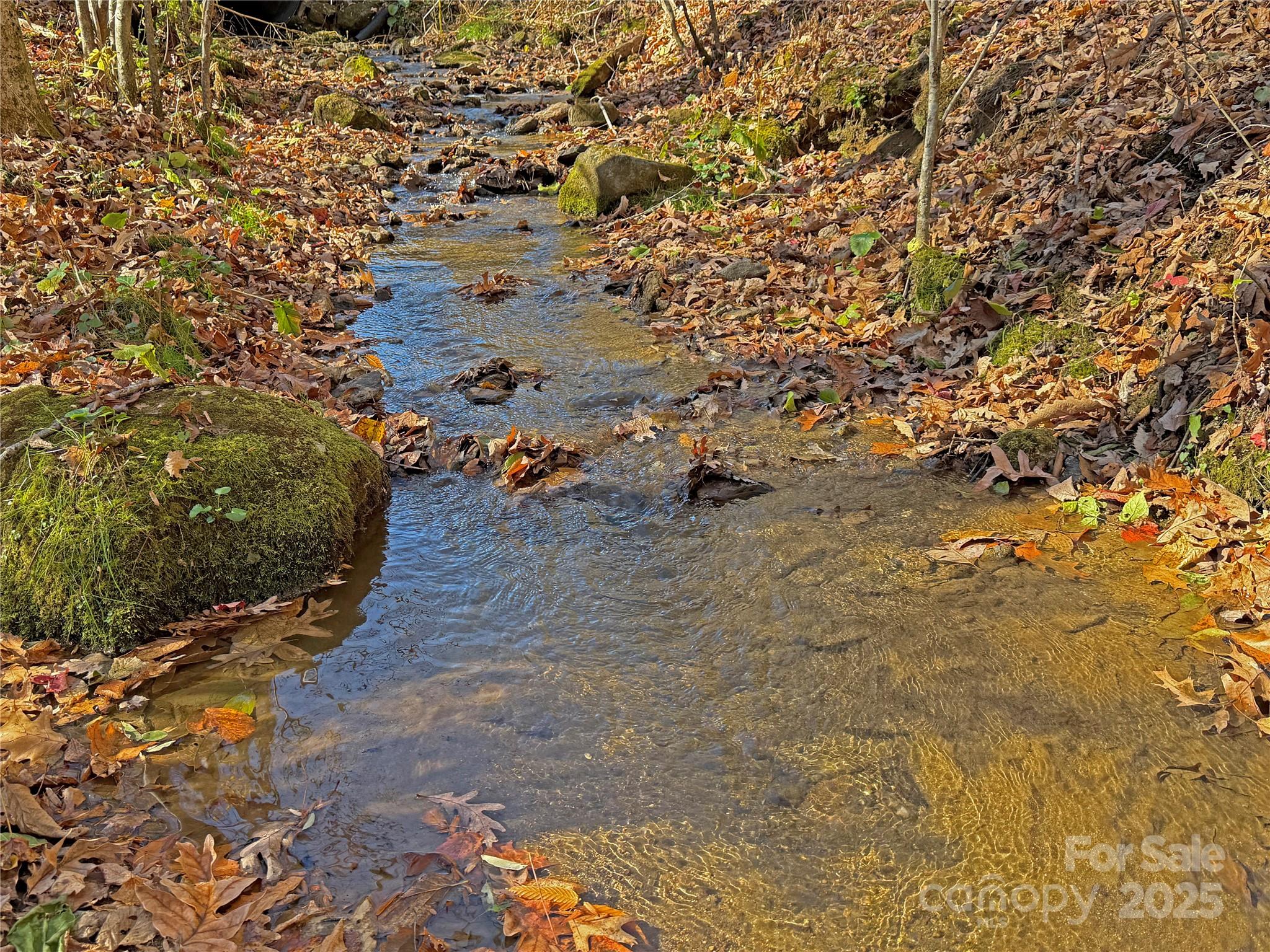 890 Panther Branch Road Hot Springs NC 28743
