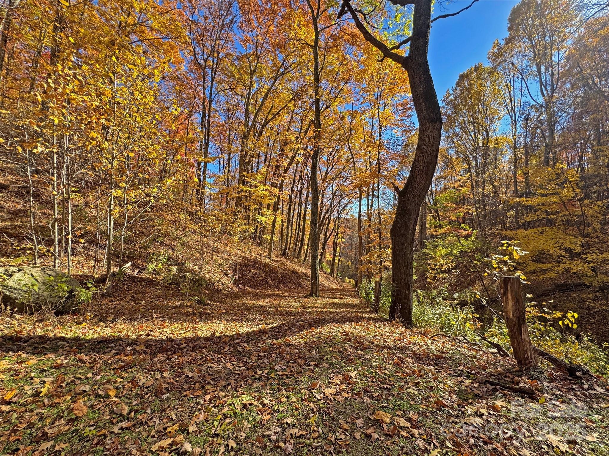 890 Panther Branch Road Hot Springs NC 28743