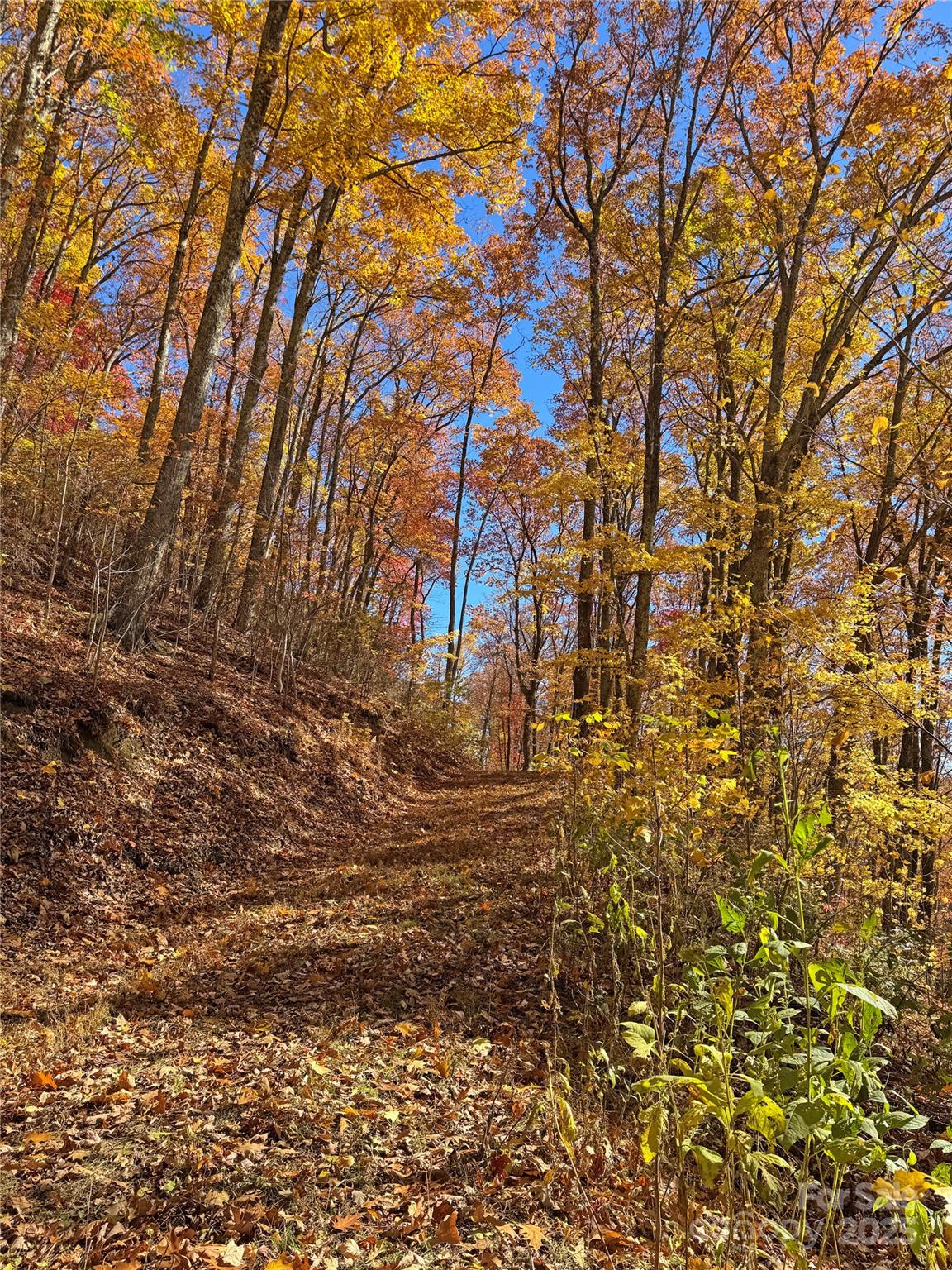 890 Panther Branch Road Hot Springs NC 28743