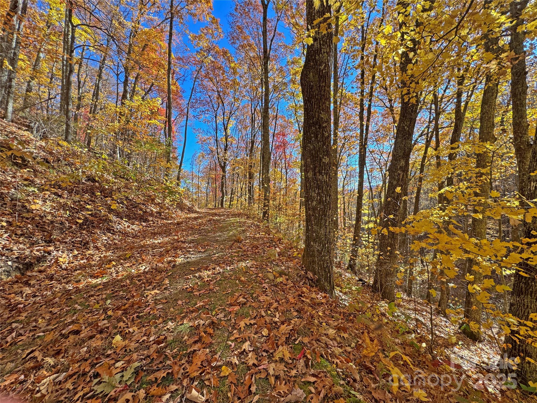 890 Panther Branch Road Hot Springs NC 28743