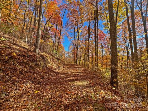 890 Panther Branch Road Hot Springs NC 28743