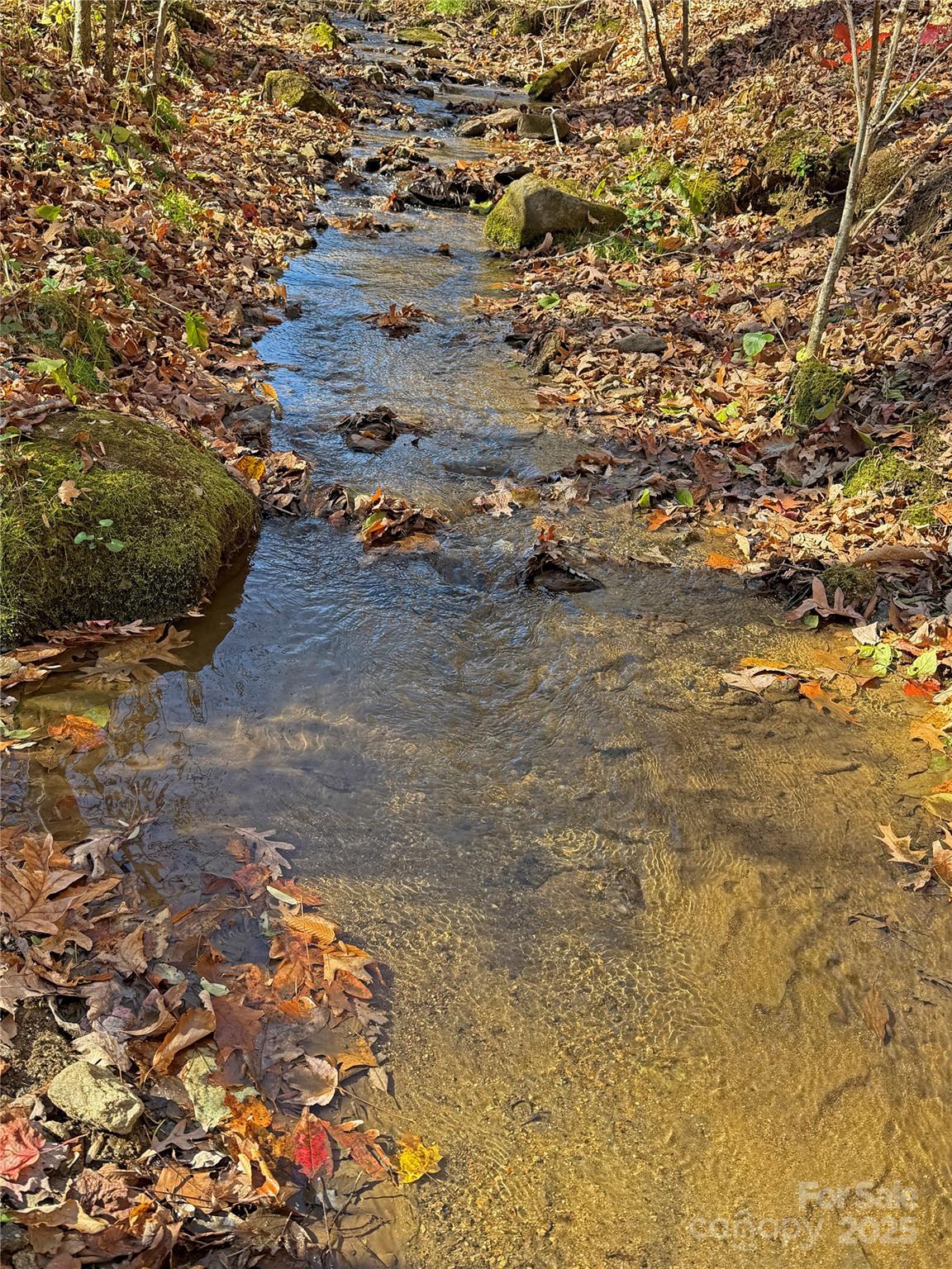 890 Panther Branch Road Hot Springs NC 28743