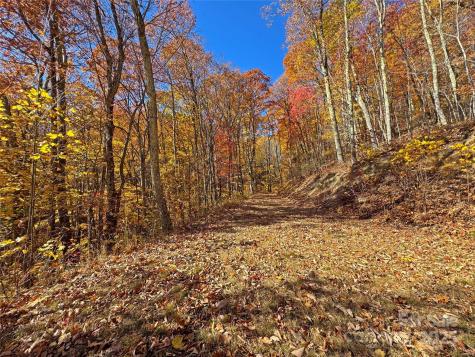 890 Panther Branch Road Hot Springs NC 28743