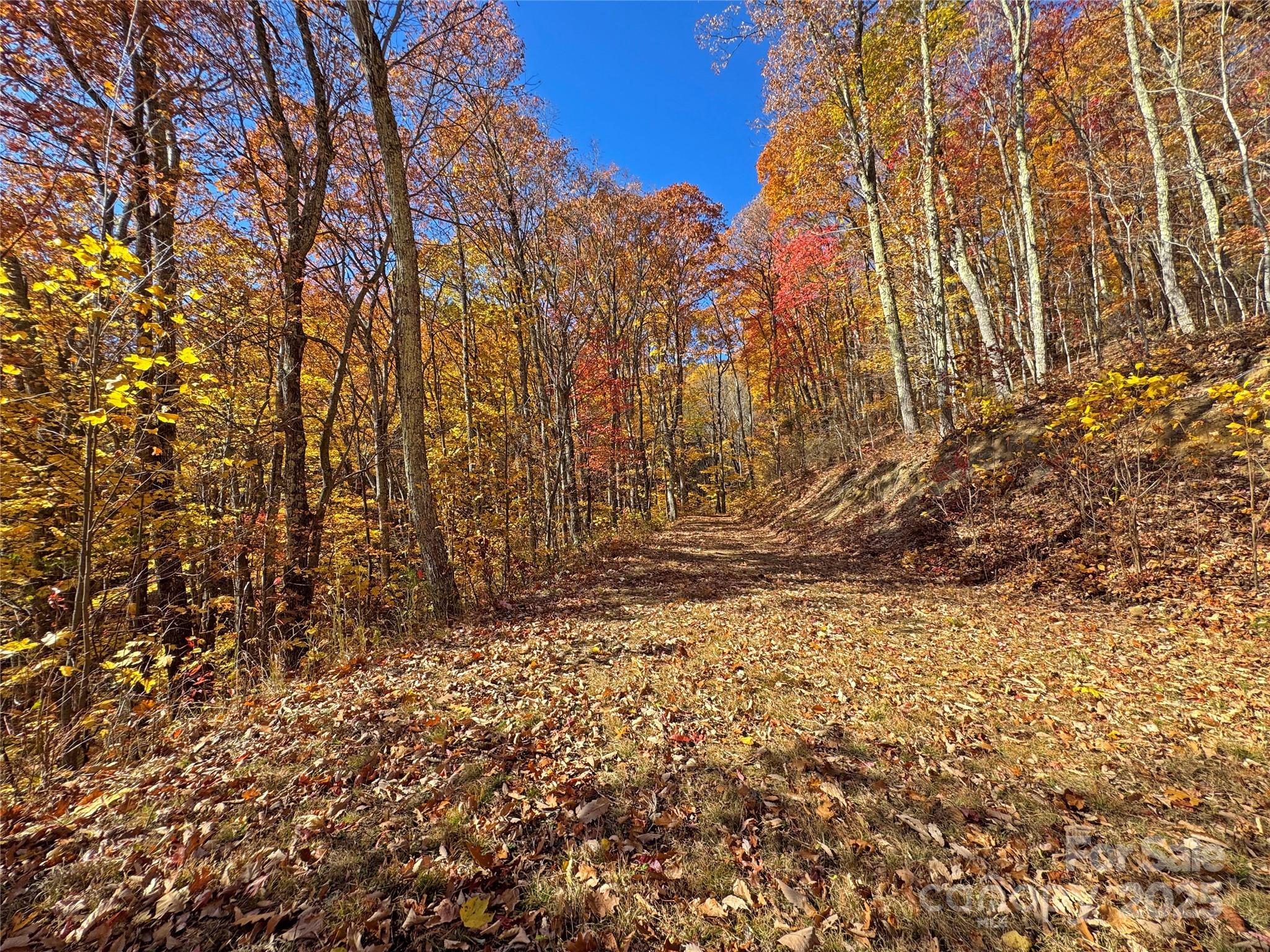 890 Panther Branch Road Hot Springs NC 28743