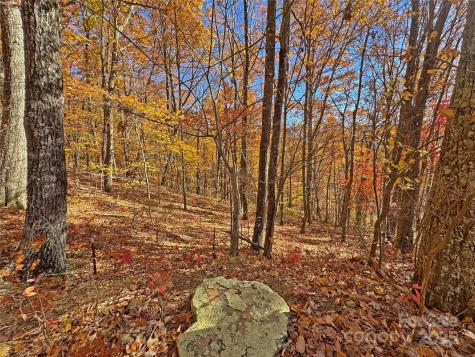 890 Panther Branch Road Hot Springs NC 28743