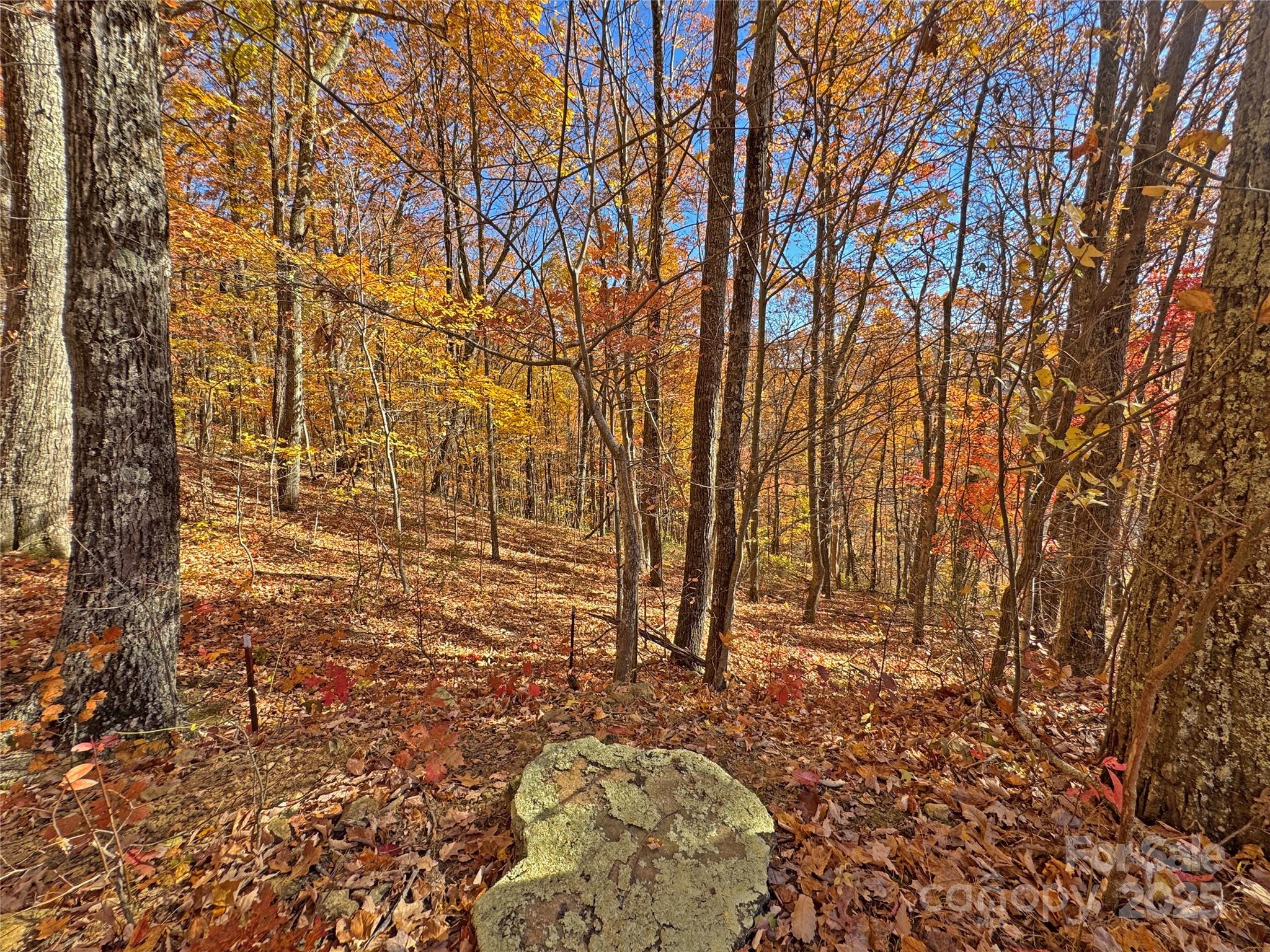 890 Panther Branch Road Hot Springs NC 28743