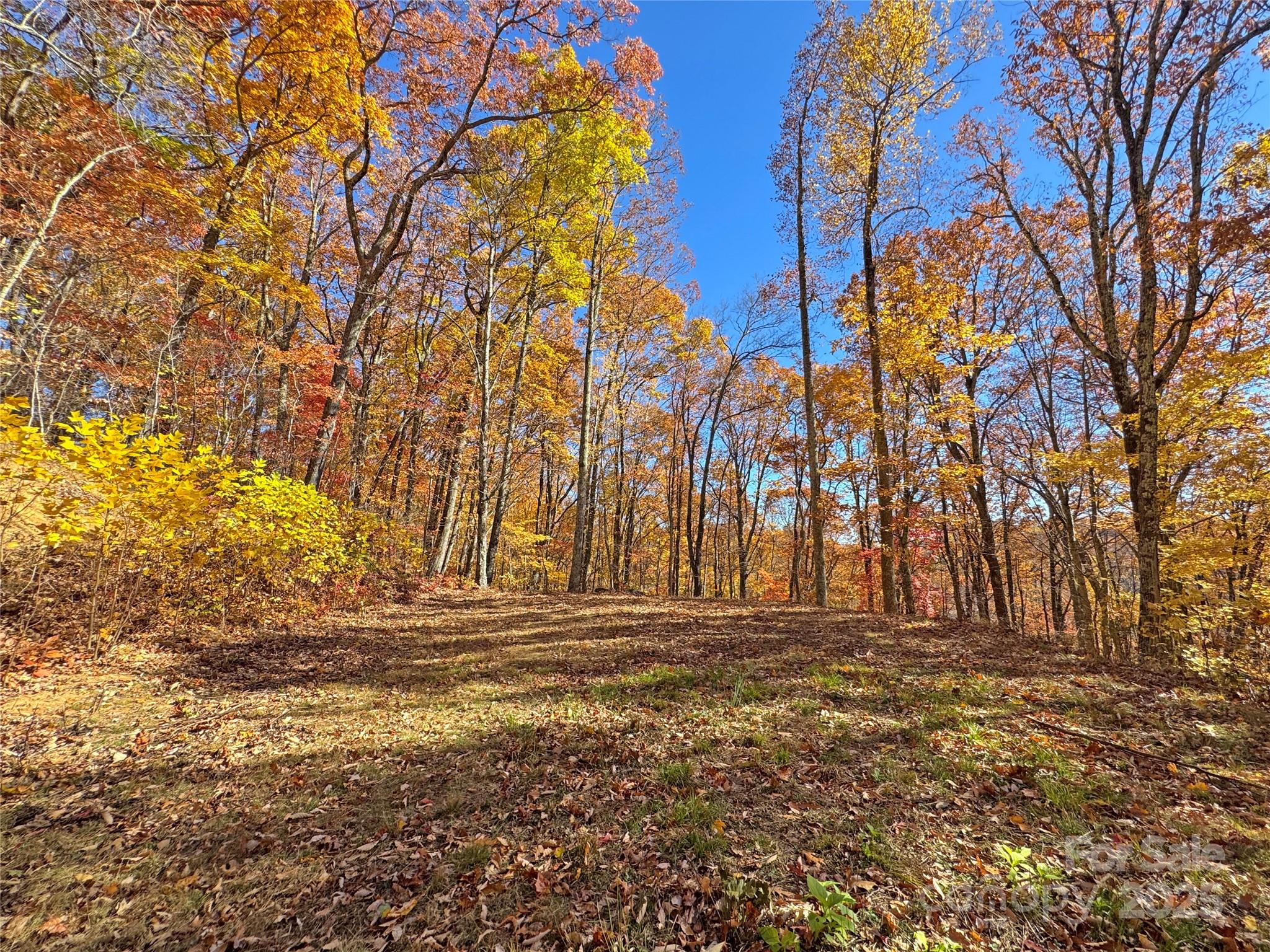 890 Panther Branch Road Hot Springs NC 28743