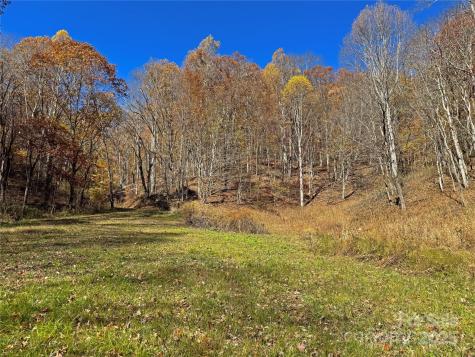 890 Panther Branch Road Hot Springs NC 28743