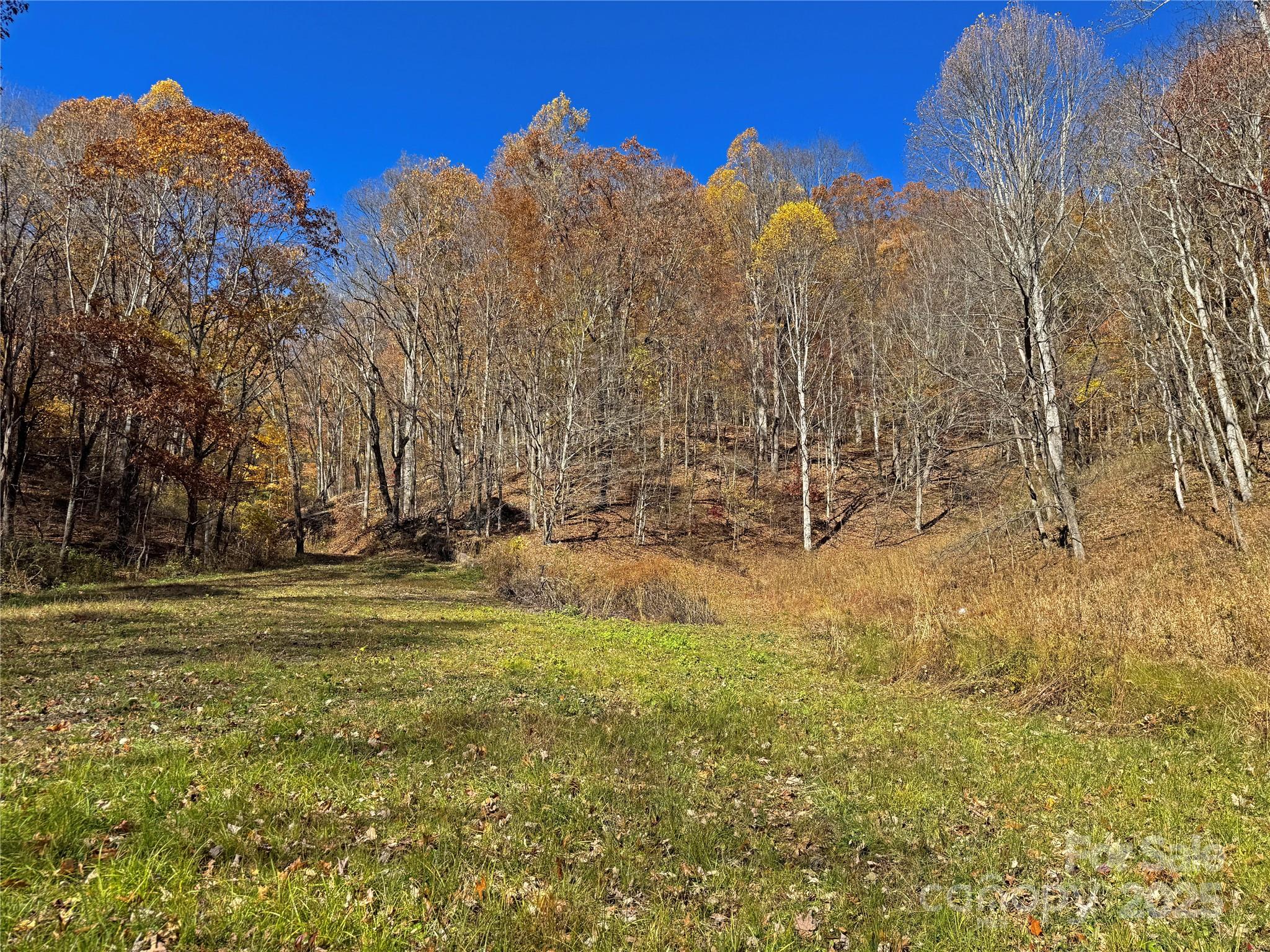 890 Panther Branch Road Hot Springs NC 28743
