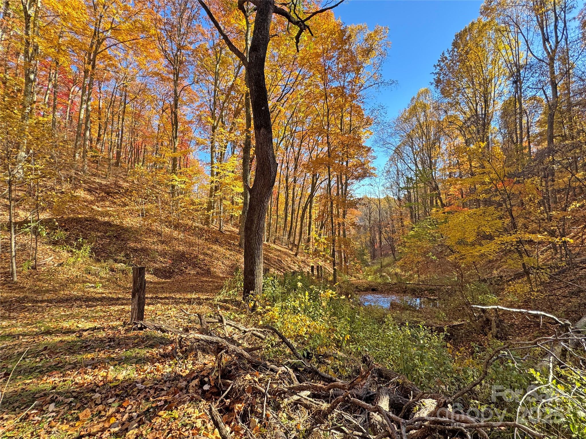 890 Panther Branch Road Hot Springs NC 28743