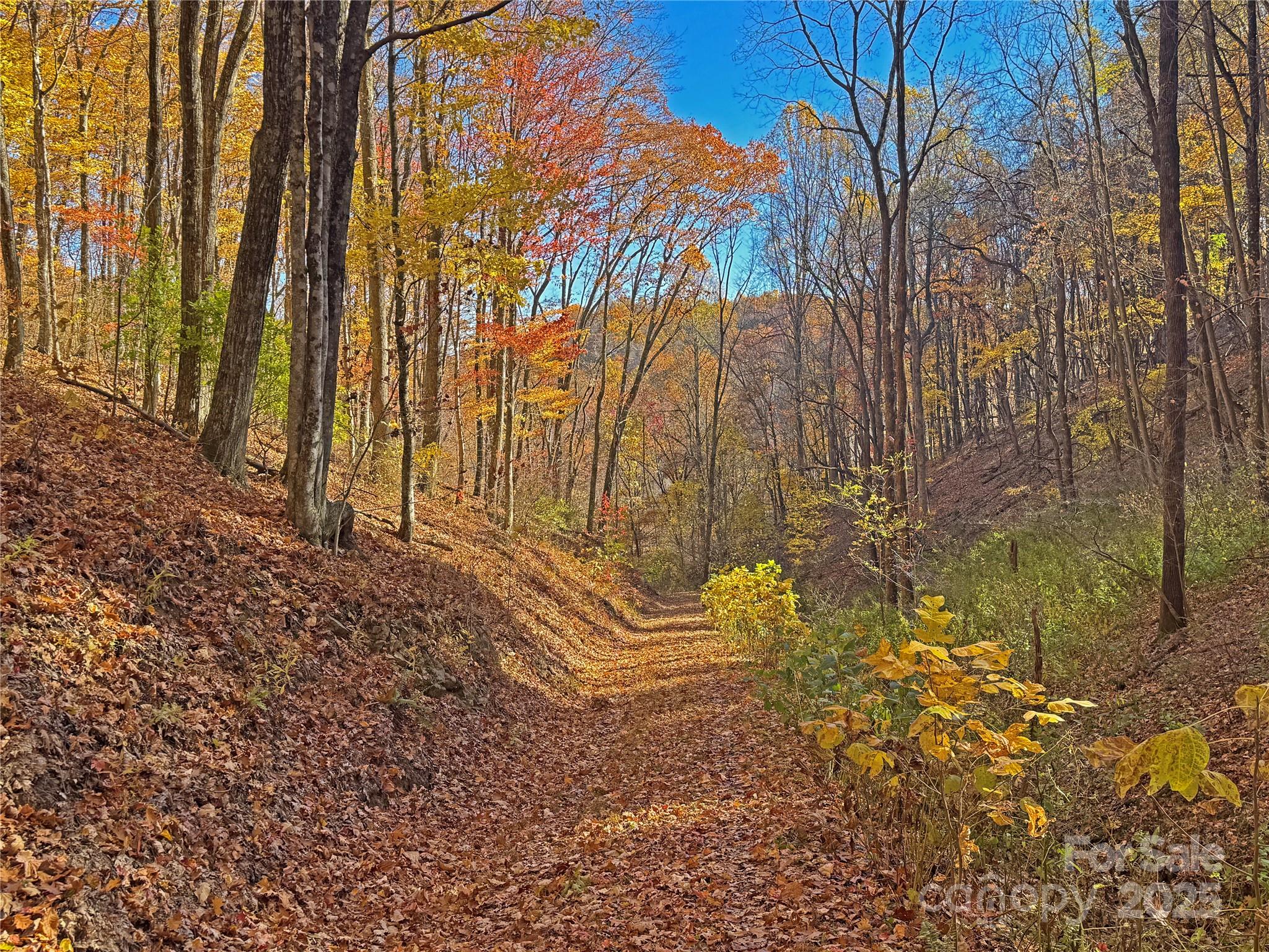 890 Panther Branch Road Hot Springs NC 28743