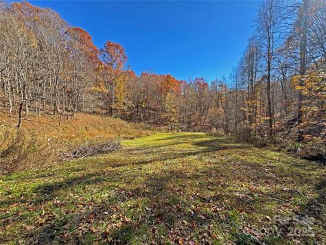 890 Panther Branch Road Hot Springs NC 28743