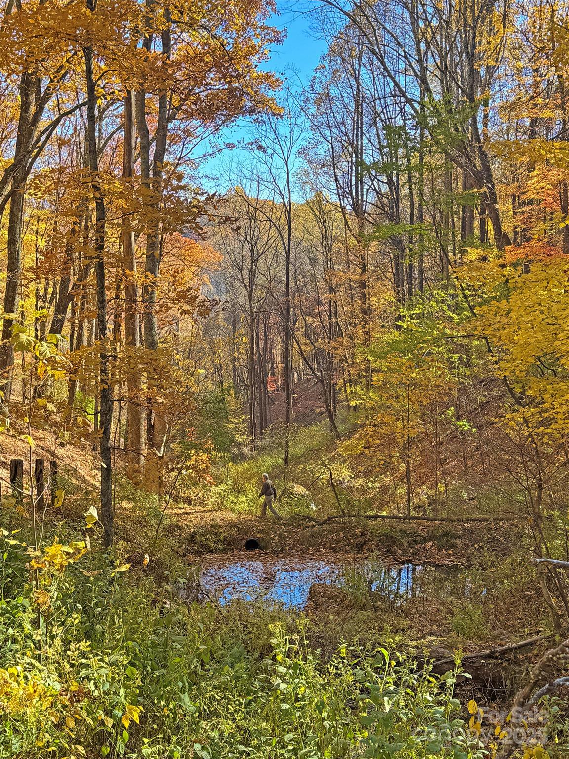 890 Panther Branch Road Hot Springs NC 28743