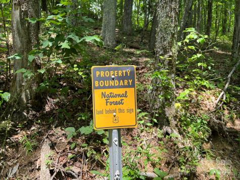 890 Panther Branch Road Hot Springs NC 28743