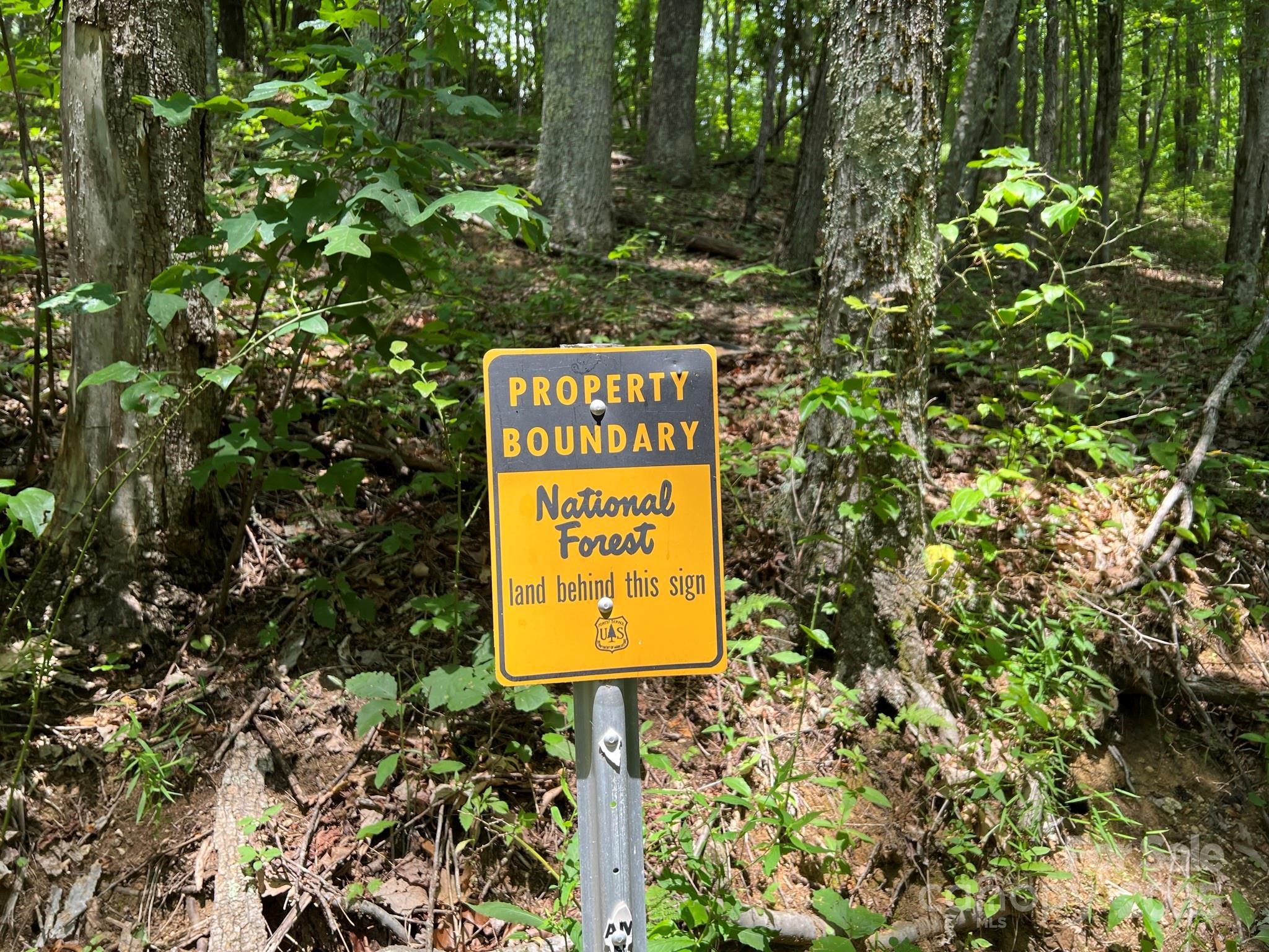 890 Panther Branch Road Hot Springs NC 28743