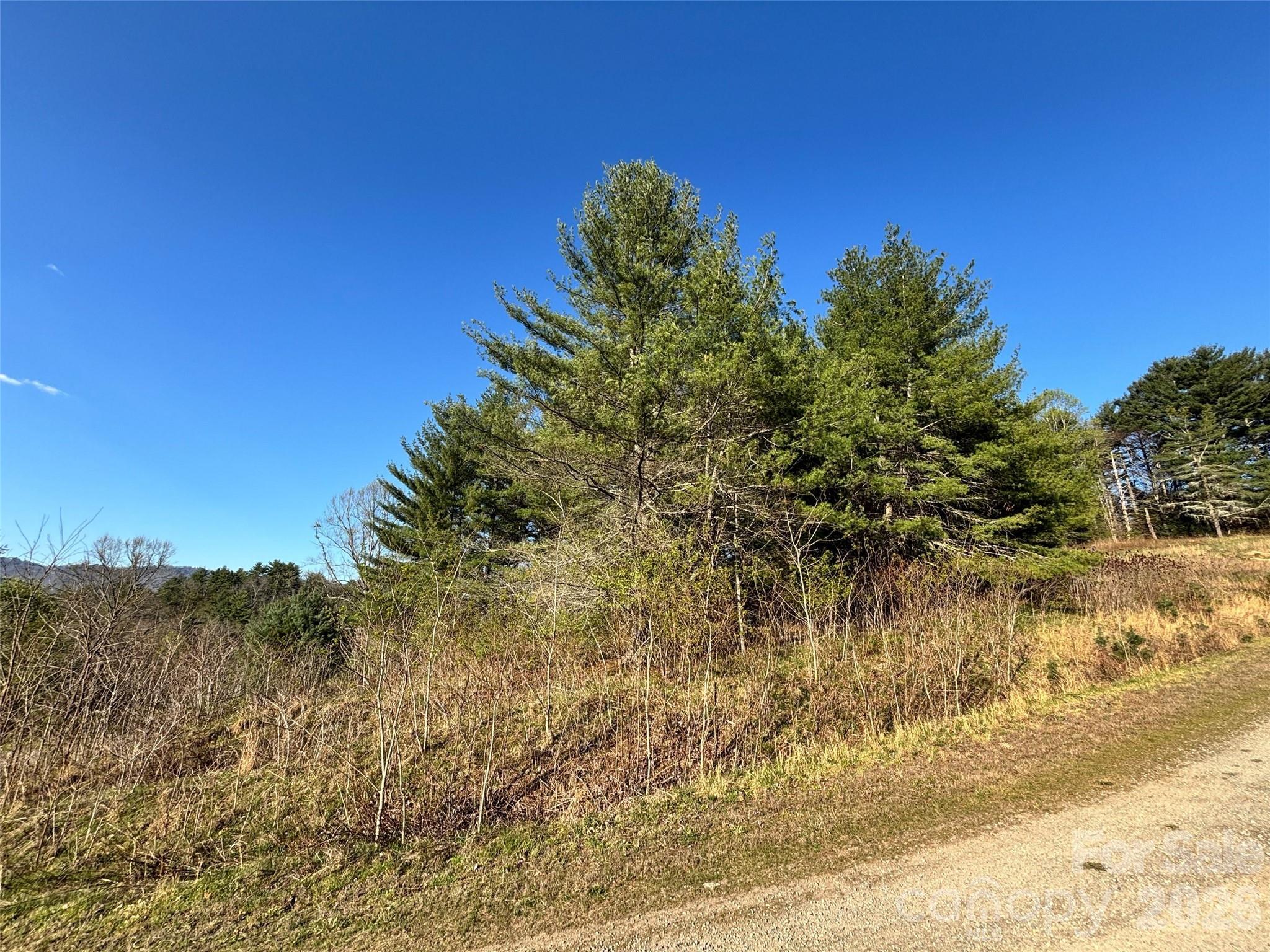24 Dream Valley Drive Clyde NC 28721