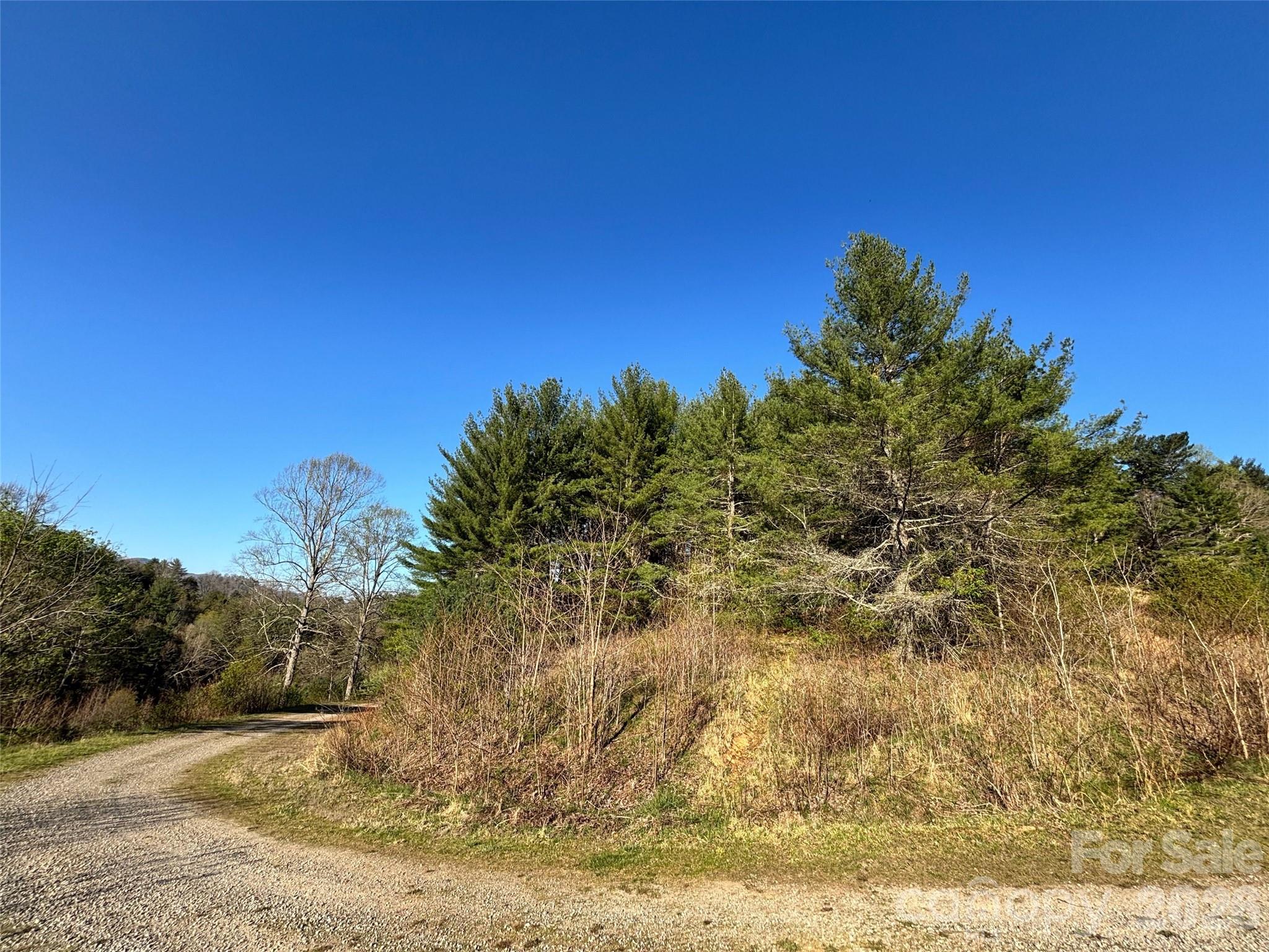 24 Dream Valley Drive Clyde NC 28721