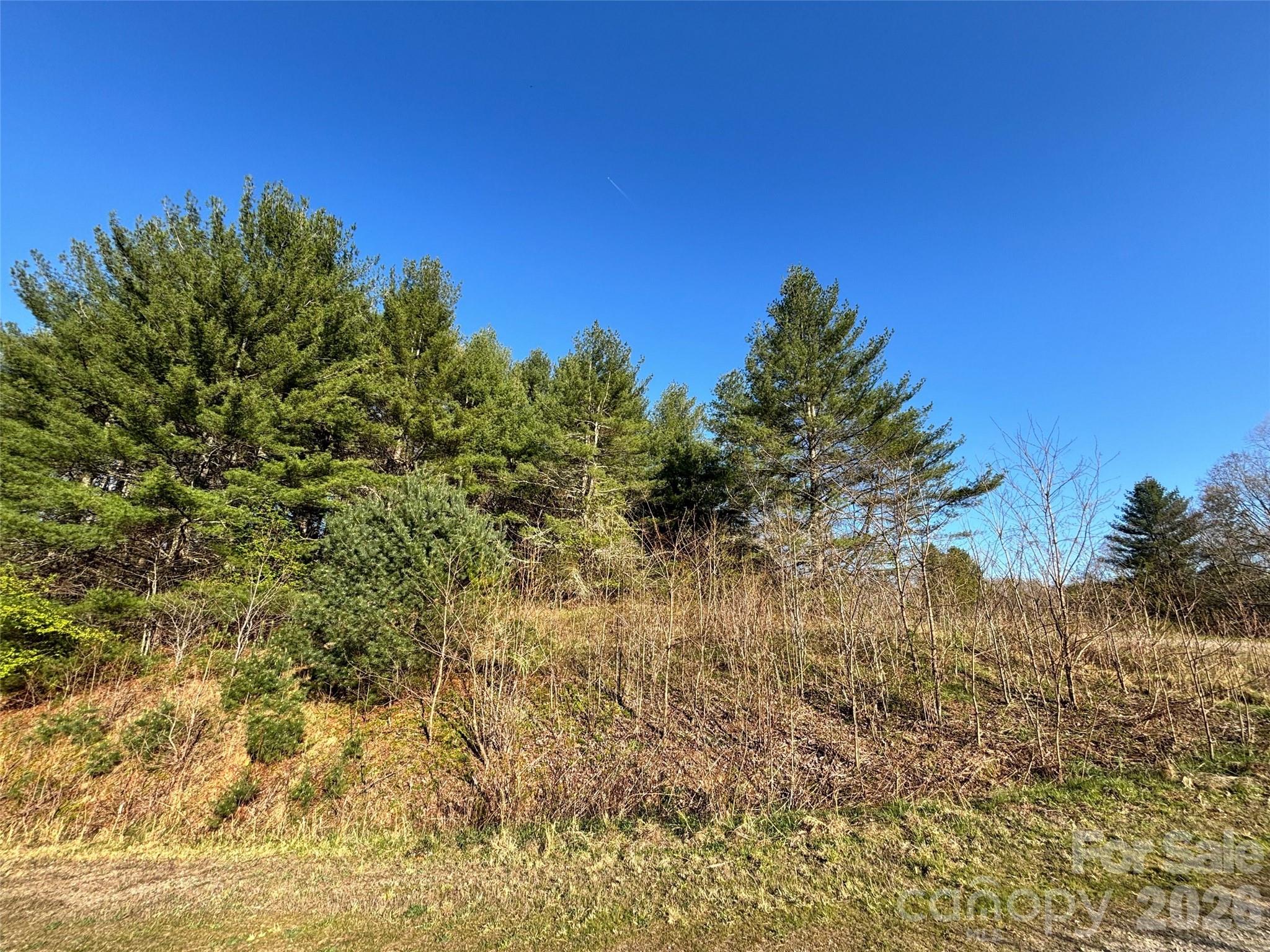 24 Dream Valley Drive Clyde NC 28721