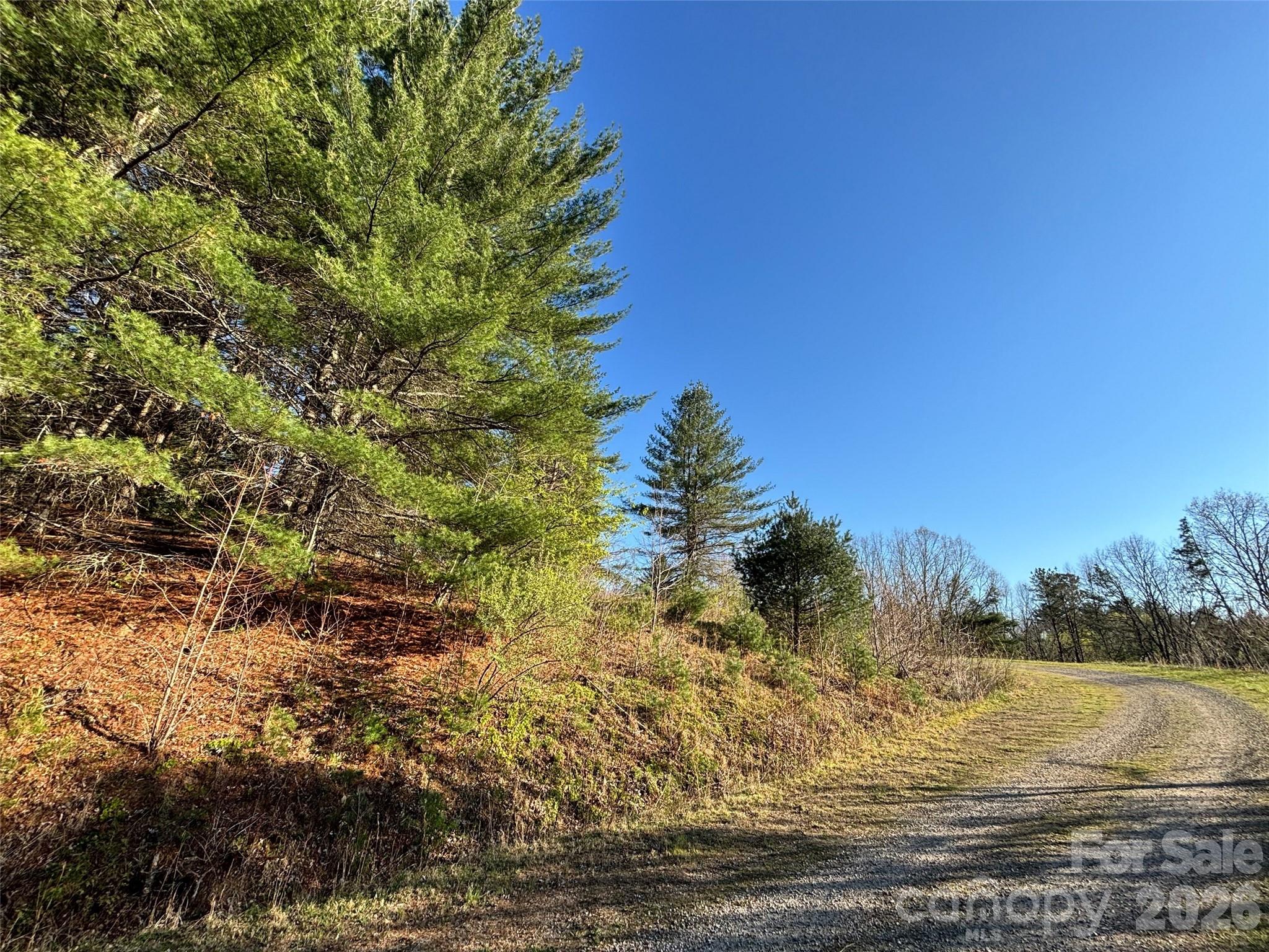 24 Dream Valley Drive Clyde NC 28721