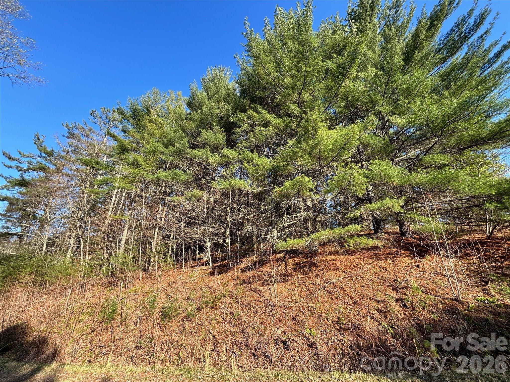 24 Dream Valley Drive Clyde NC 28721