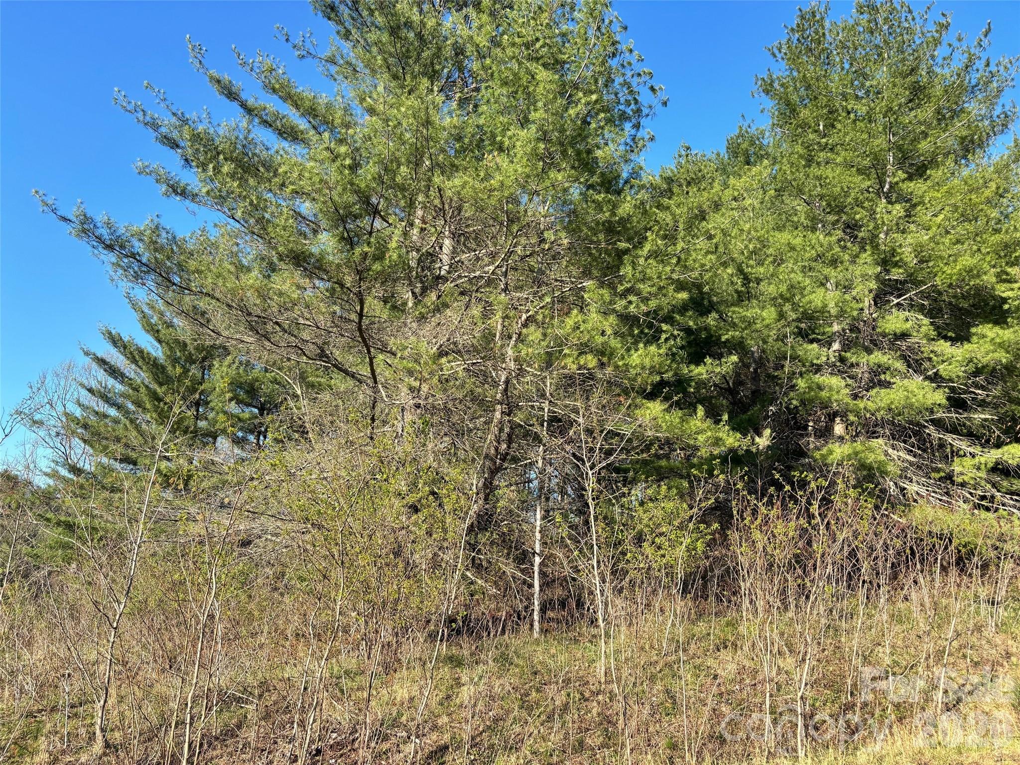 24 Dream Valley Drive Clyde NC 28721