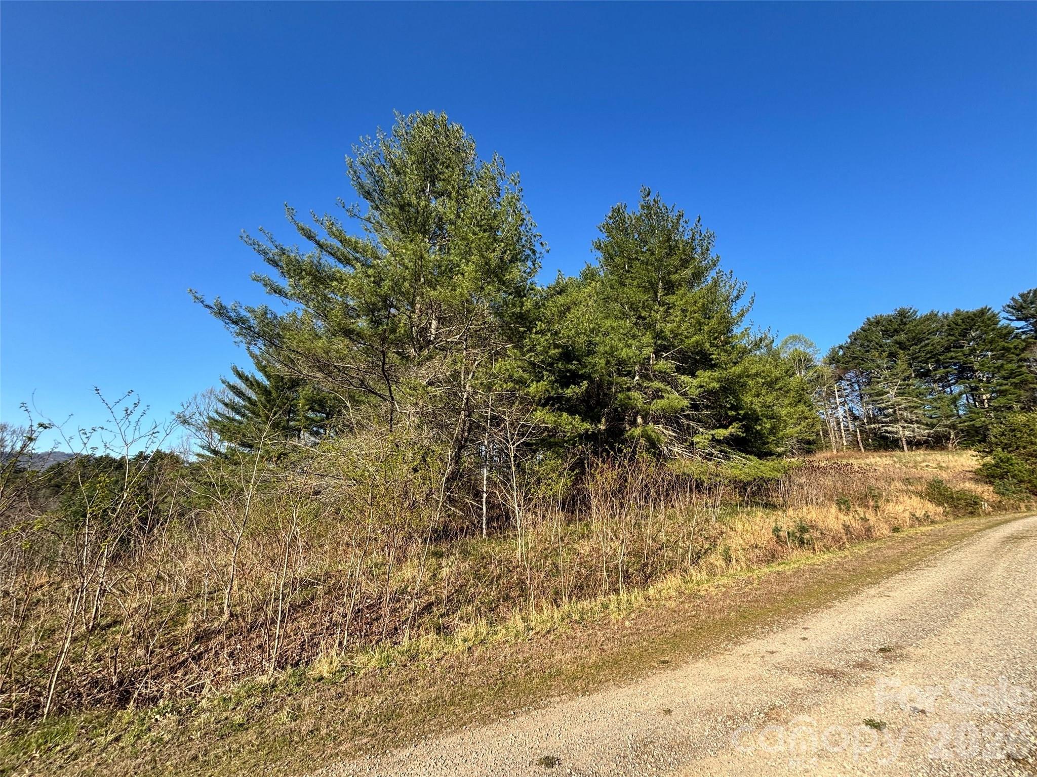 24 Dream Valley Drive Clyde NC 28721