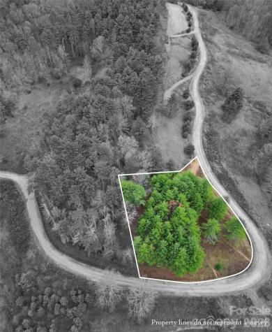 24 Dream Valley Drive Clyde NC 28721