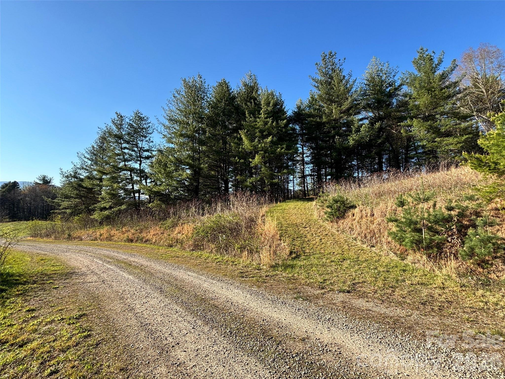 24 Dream Valley Drive Clyde NC 28721