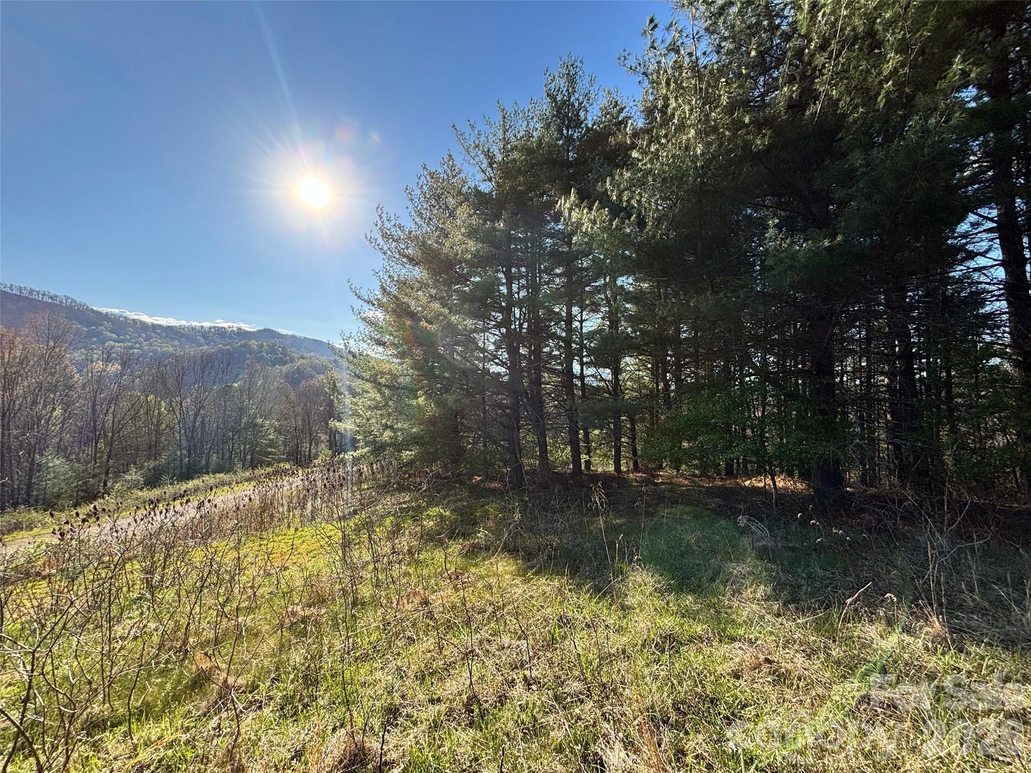 24 Dream Valley Drive Clyde NC 28721