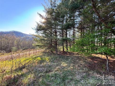 24 Dream Valley Drive Clyde NC 28721