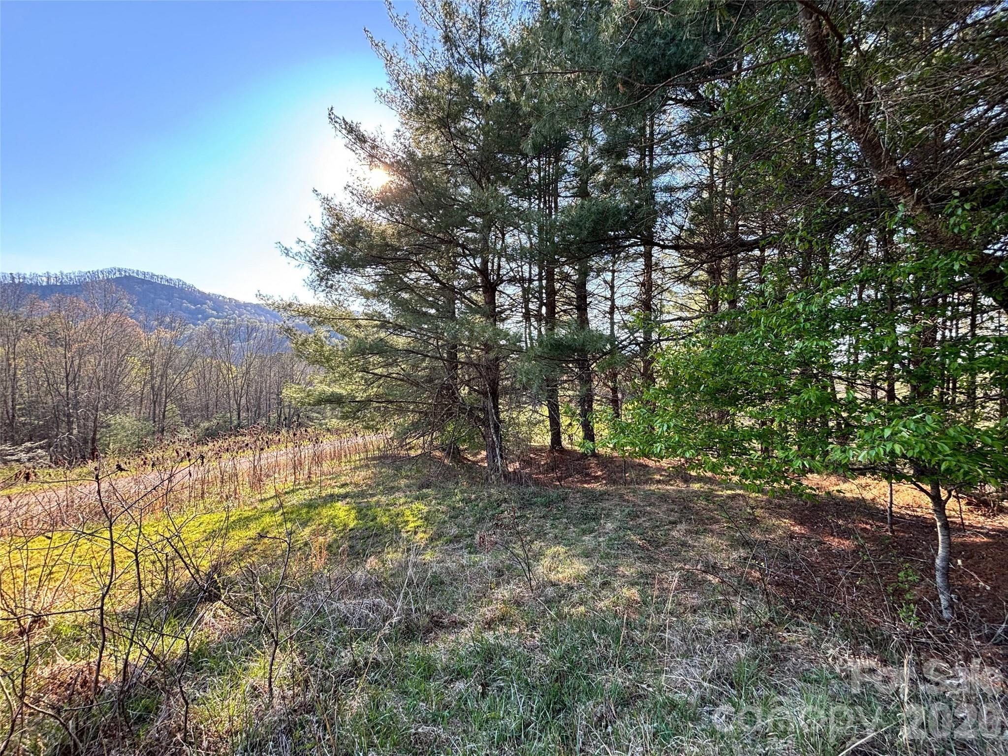 24 Dream Valley Drive Clyde NC 28721