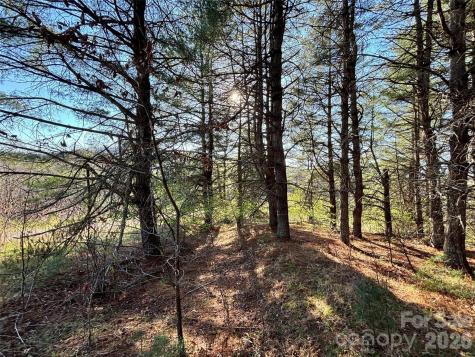 24 Dream Valley Drive Clyde NC 28721